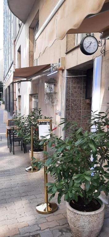 Cleopatra Apartament *